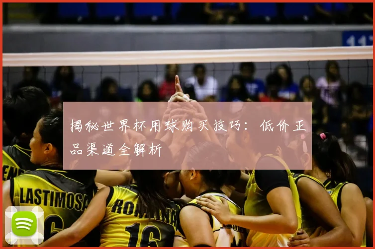 揭秘世界杯用球购买技巧：低价正品渠道全解析